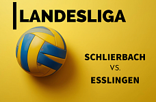 08.11.2025 Damen Pic